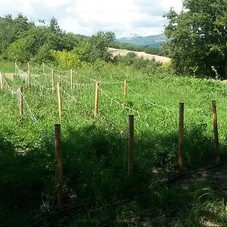 Vendégház La Chiusa Grand Relais Senise