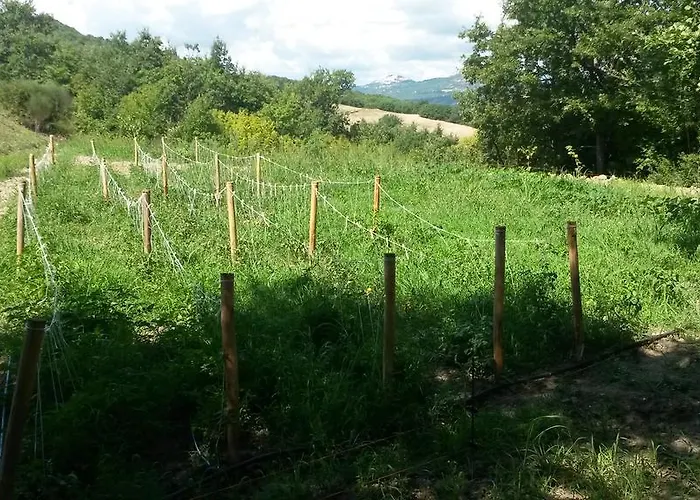 Gæstehus La Chiusa Grand Relais Senise